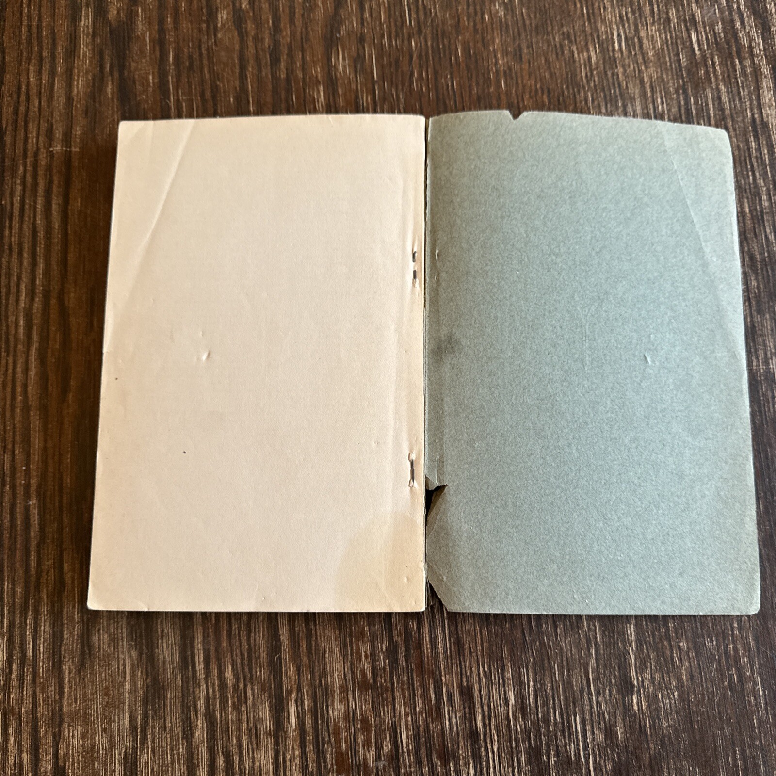 Swimmer Manuscript: Cherokee Sacred Formulas And Medicinal Prescriptions 1932