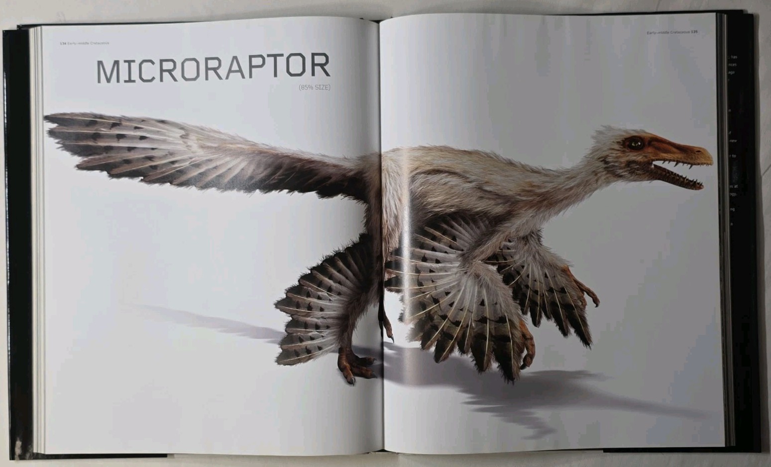 Dinosaurs by Steve Brusatte 2010 Quercus Publishing Large Illustration Book
