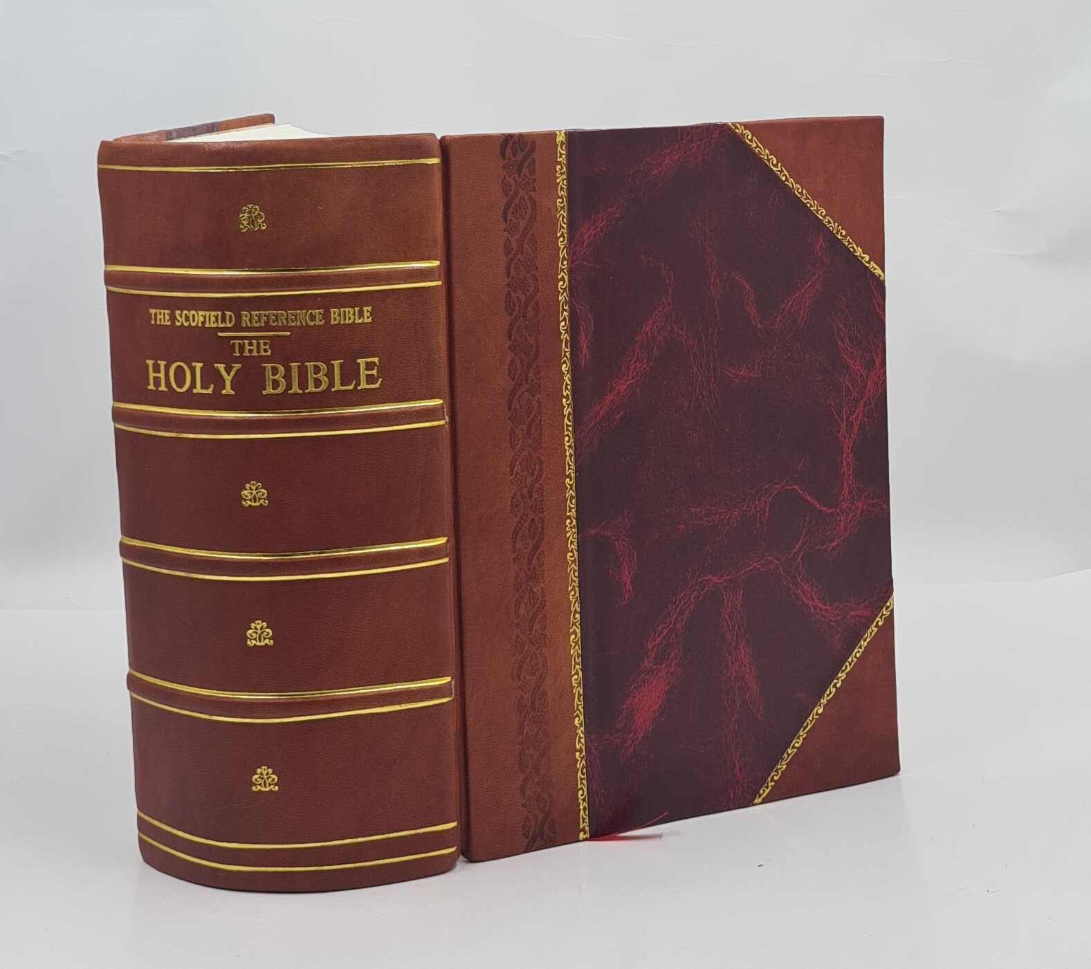 The Scofield reference Bible The Holy Bible 1909 [Leather Bound]