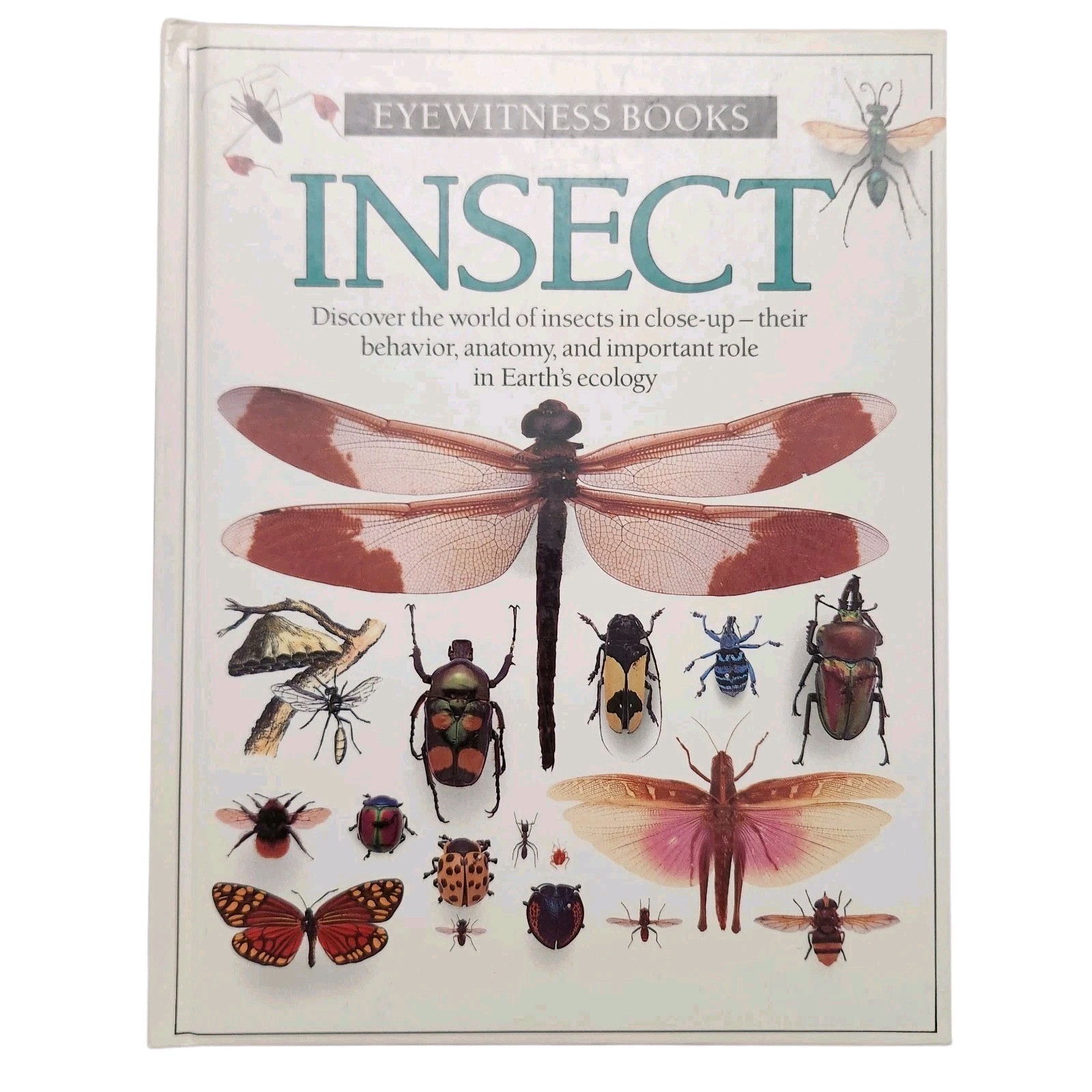Insect Eyewitness Books Hardcover By Dorling Kindersley Ltd Vintage 1990