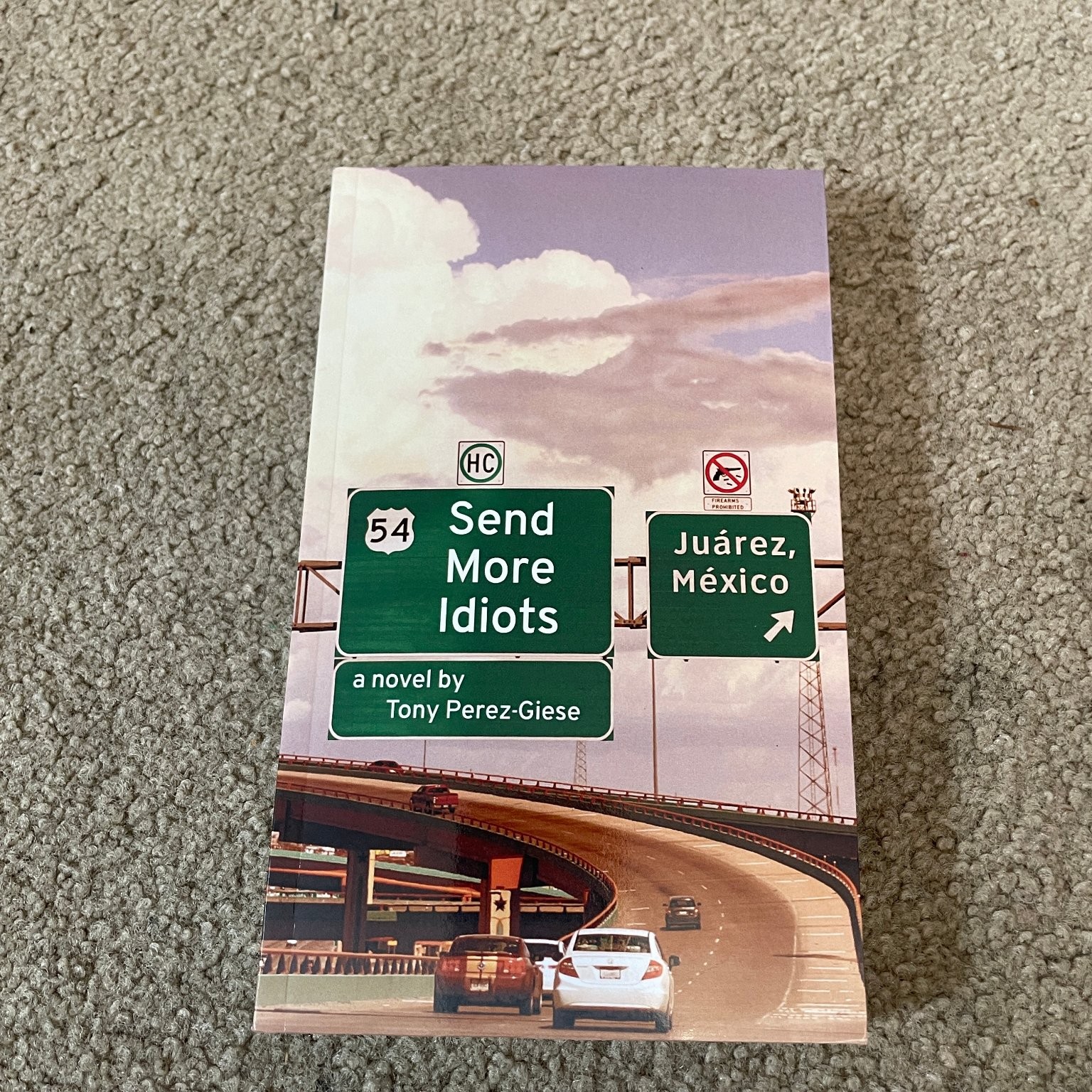 Send More Idiots Tony Perez-Giese 2015 Novel Archway Publishing Mystery Thriller