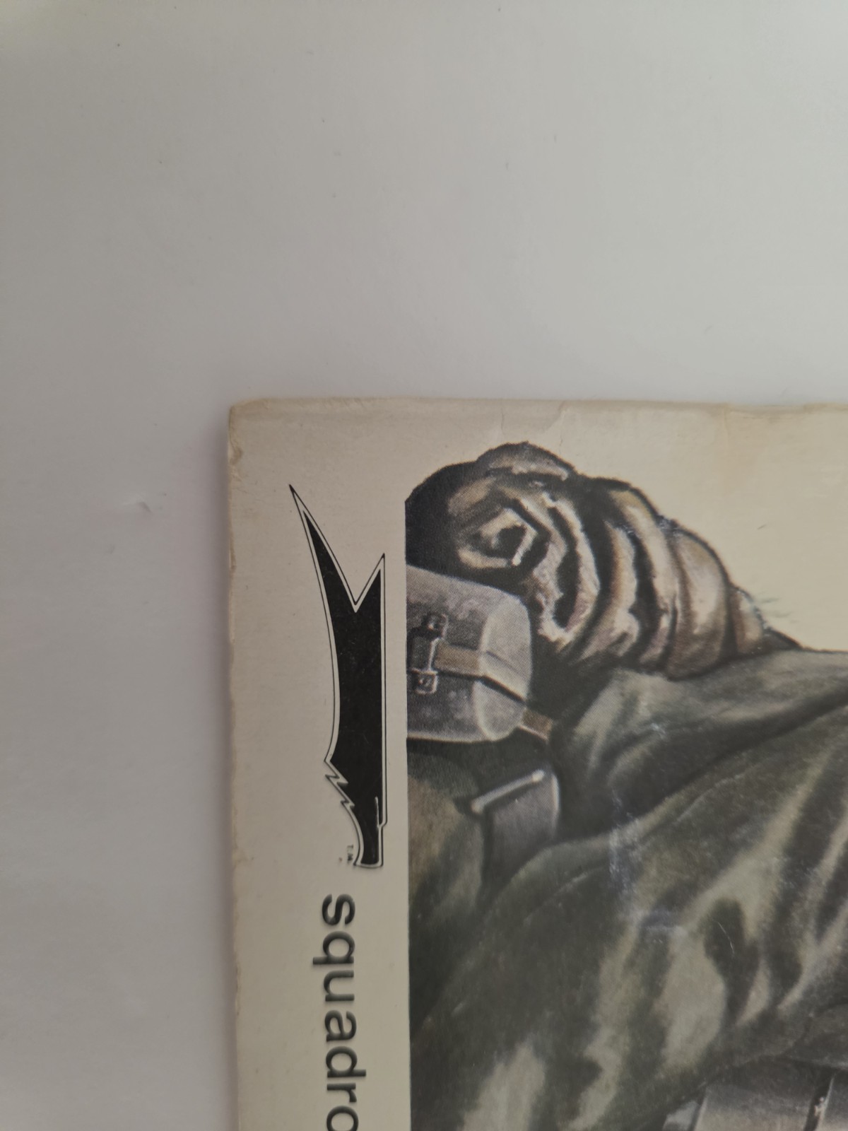 WAFFEN SS IN ACTION, WEAPONS NUMBER THREE, SQUADRON/SIGNAL PUBLICATIONS, 1973