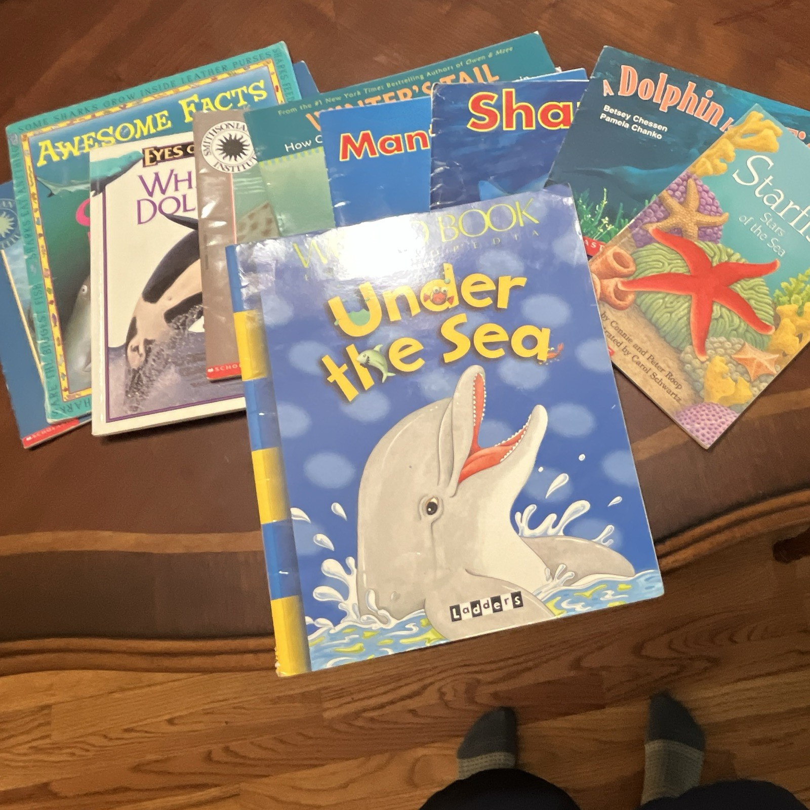 Scholastic Sea Life Picture Book Lot Paperback Illustrated Ages 4-8 English