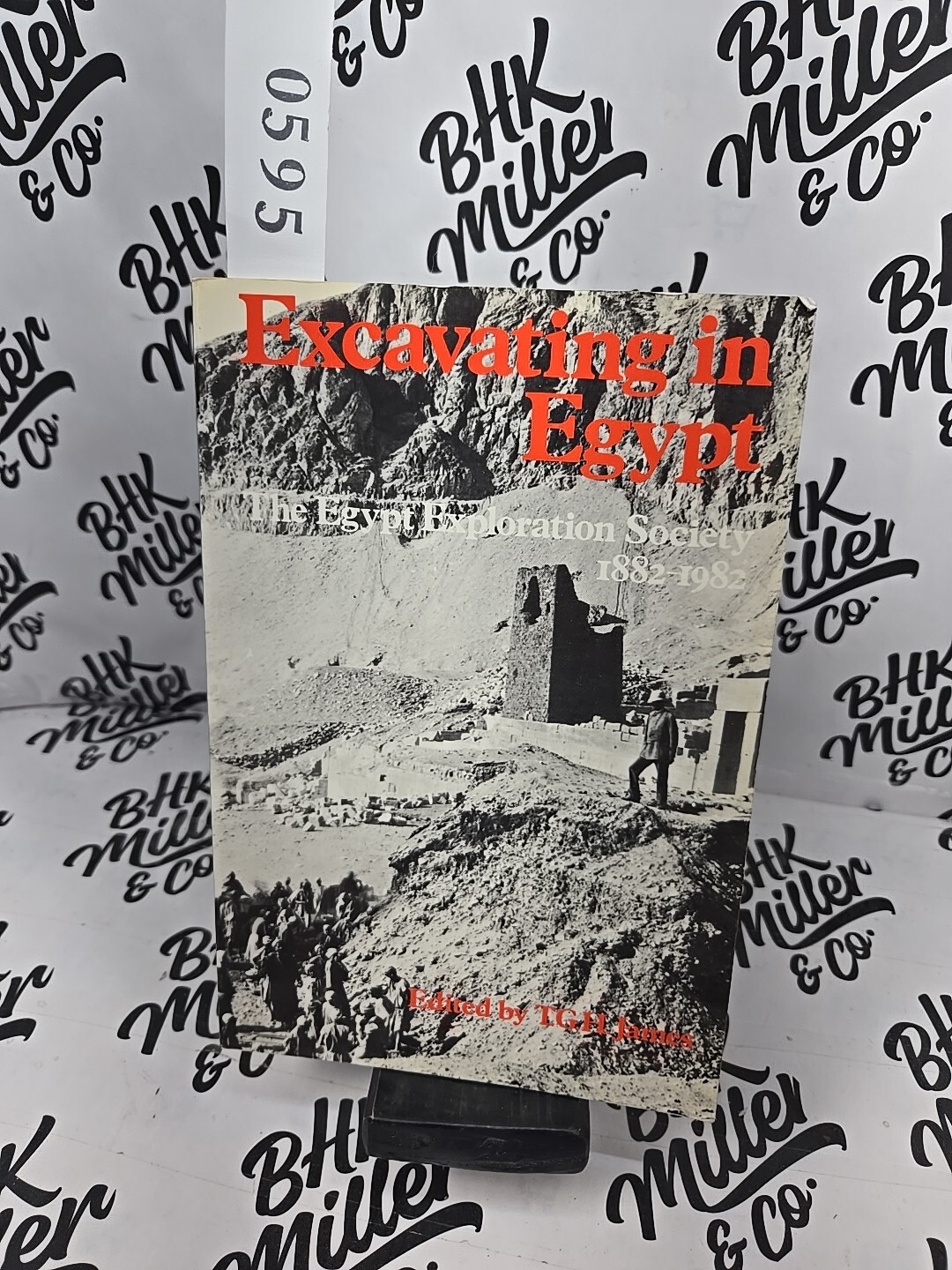 Excavating in Egypt: The Egypt Exploration Society 1882-1982 by James, T. G. H.