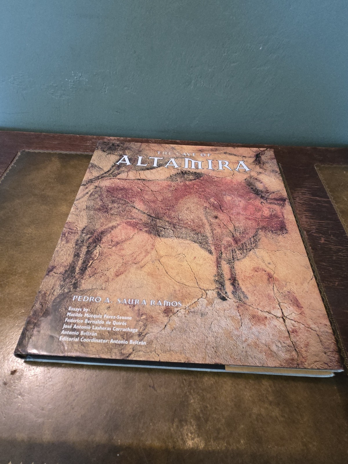 The Cave of Altamira authored by Pedro A. Saura Ramos, with essays by Matilde HC