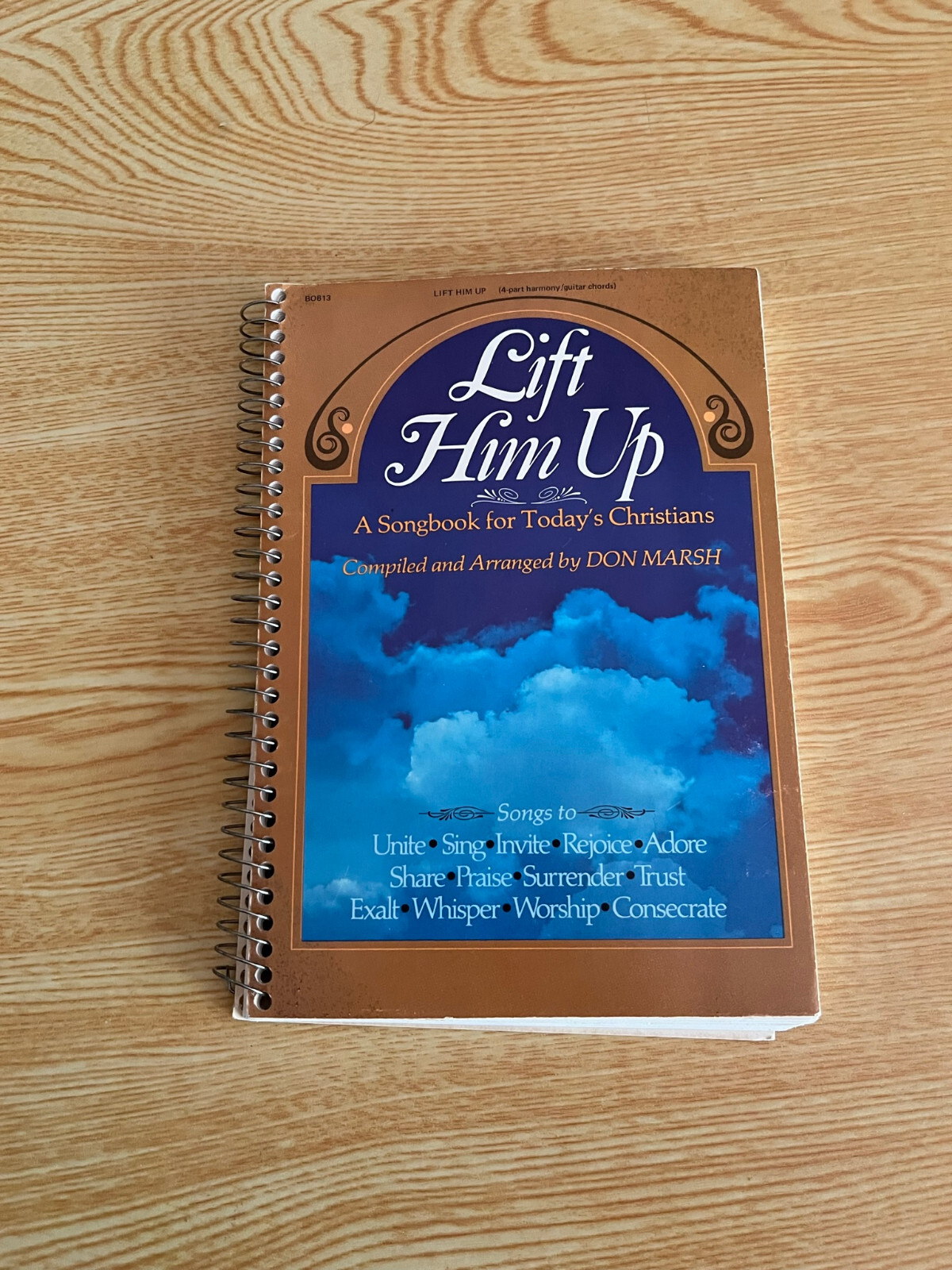 Lift Him Up by Don Marsh