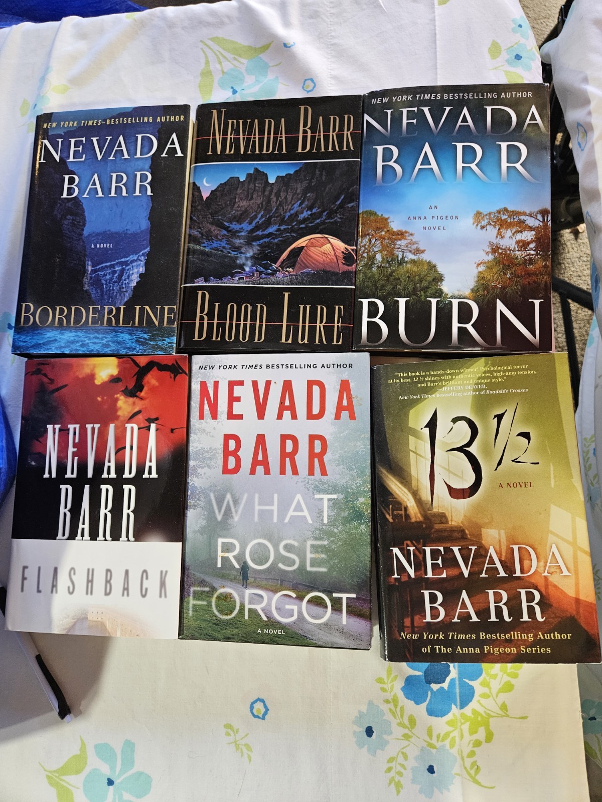 Lot of 6 MURDER/MYSTERY books By Nevada Barr Series: Anna Pigeon FREE SHIPPING