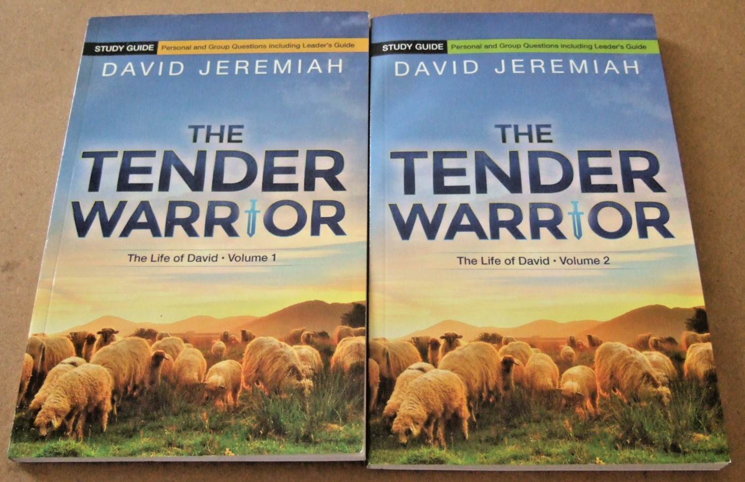 DR. DAVID JEREMIAH STUDY GUIDES THE TENDER WARRIOR THE LIFE OF DAVID VOL 1-2
