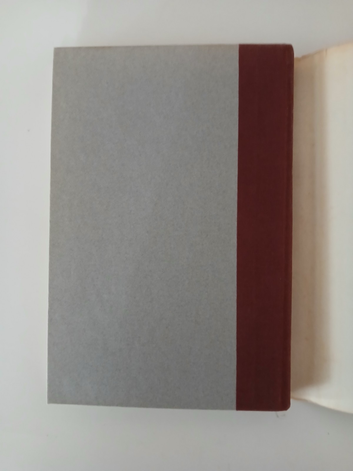 Bad Behavior Mary Gaitskill 1988 First Edition HC Poseidon Press Secretary DJ VG