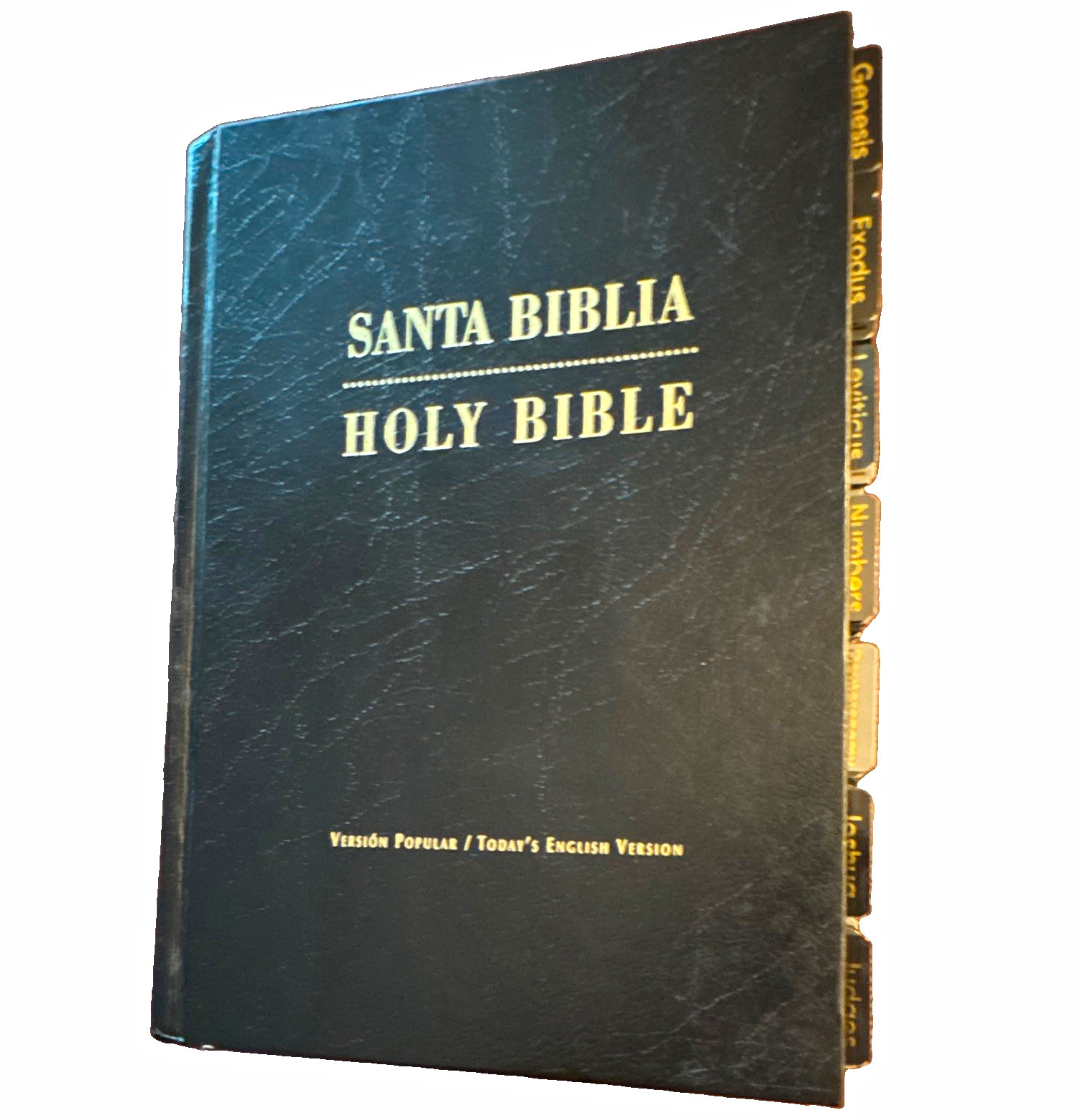 Santa Biblia Holy Bible American Bible Society Hardcover Tabbed Spanish/English