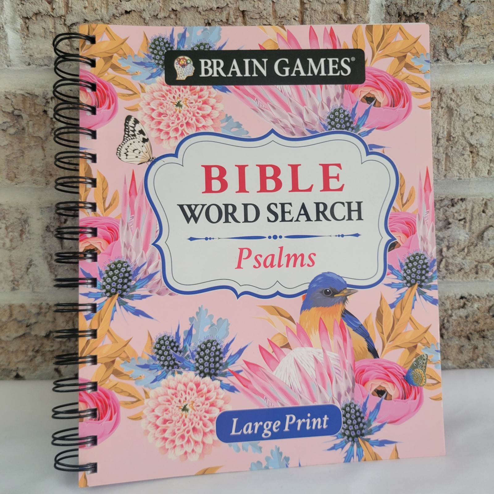 Brain Games Bible Word Search : Psalms LARGE print