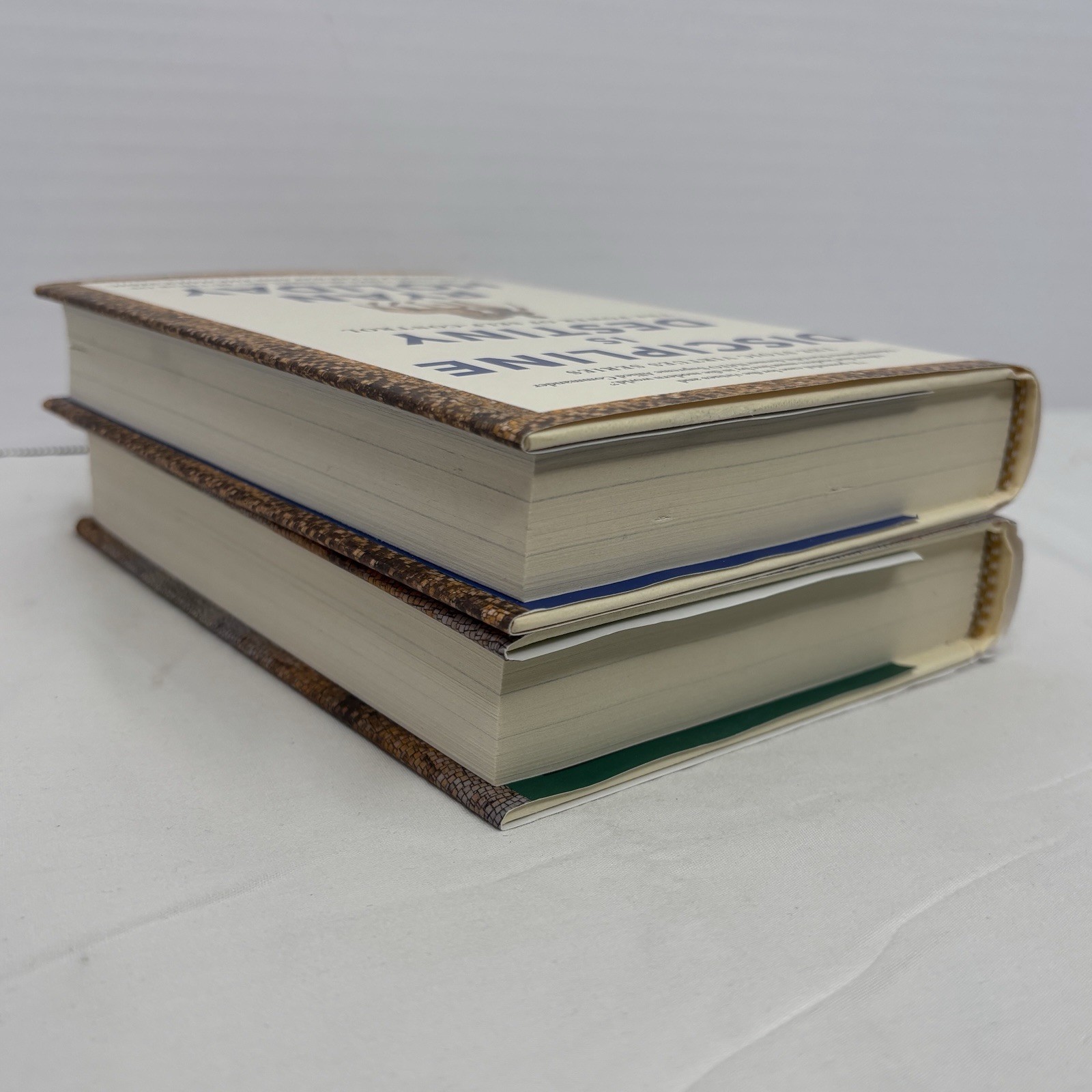 Ryan Holiday The Stoic Virtues Series 2 Book Collection Set Discipline Right
