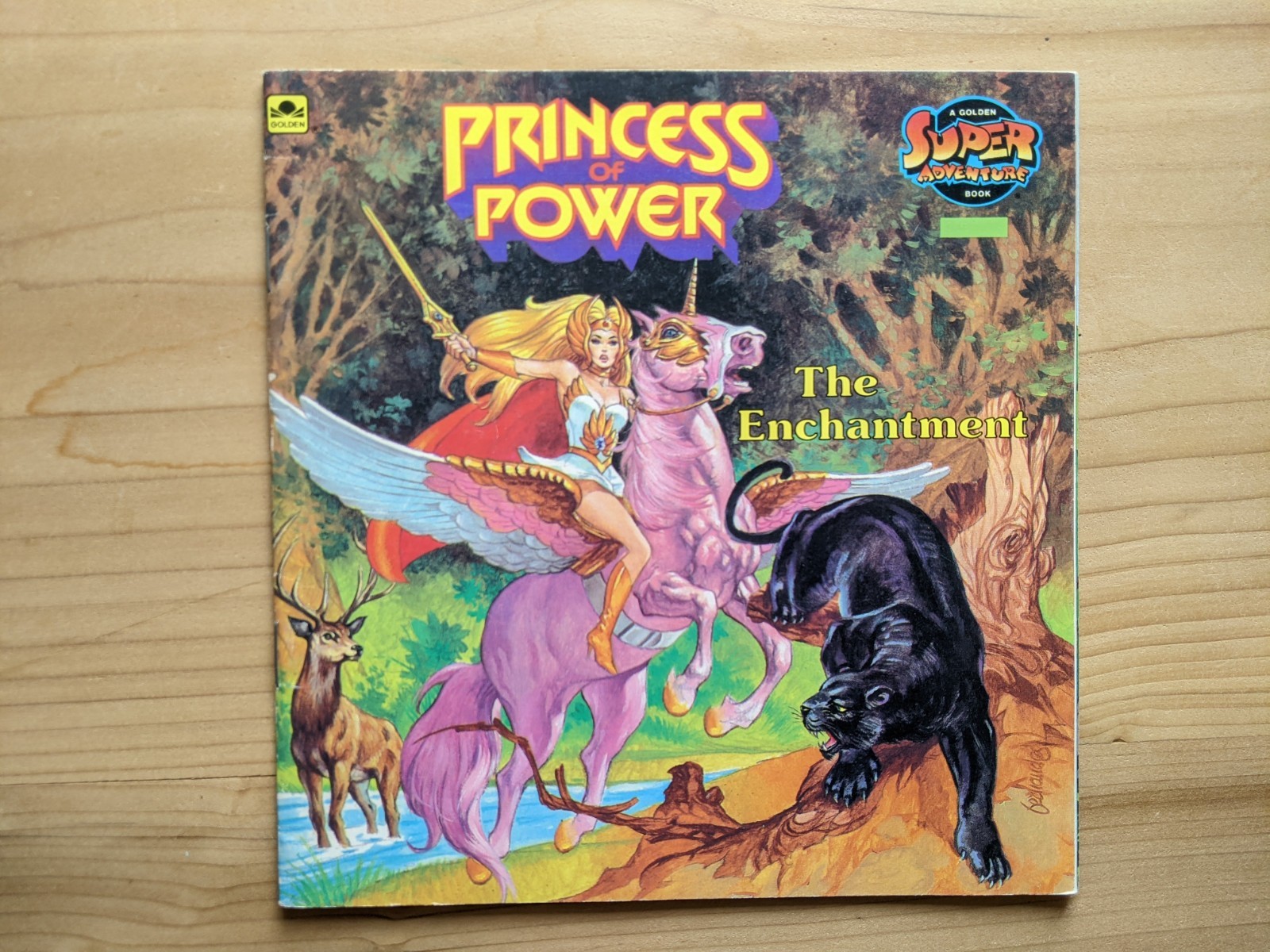 Golden Adventure Book Princess of Power The Enchantment Teddy Slater – Very Good