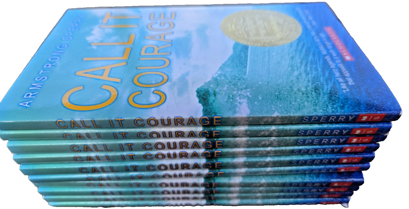 Call It Courage – Lot of 10 – NEW Paperbacks by Armstrong Sperry