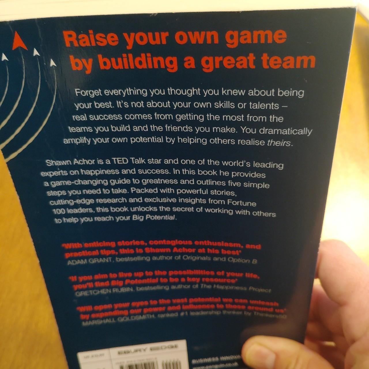 Big Potential by Shawn Achor Paperback Success Happiness Teamwork Book