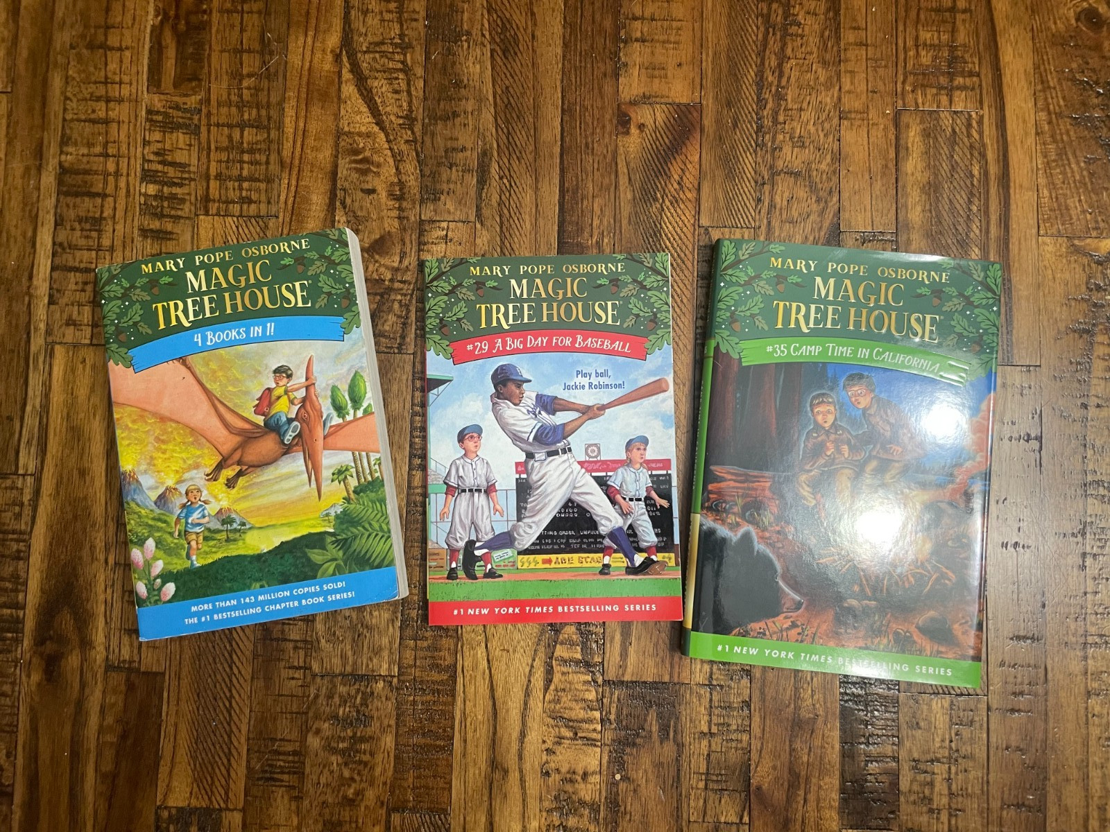 Magic Tree House Book Lot Mary Pope Osborne 4 Books in 1 + #29 + #35