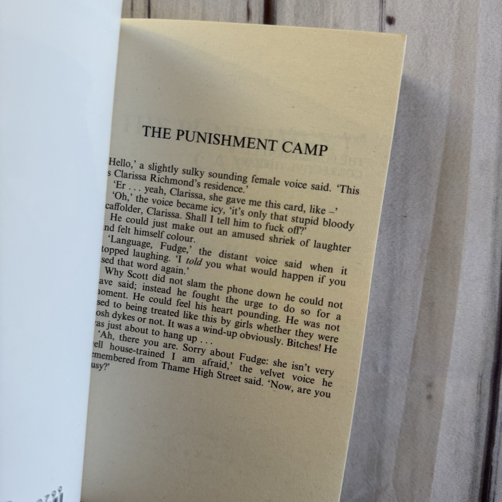 The Punishment Camp Jacqueline Masterson Vintage Erotic Sleaze Smut Nexus 2005