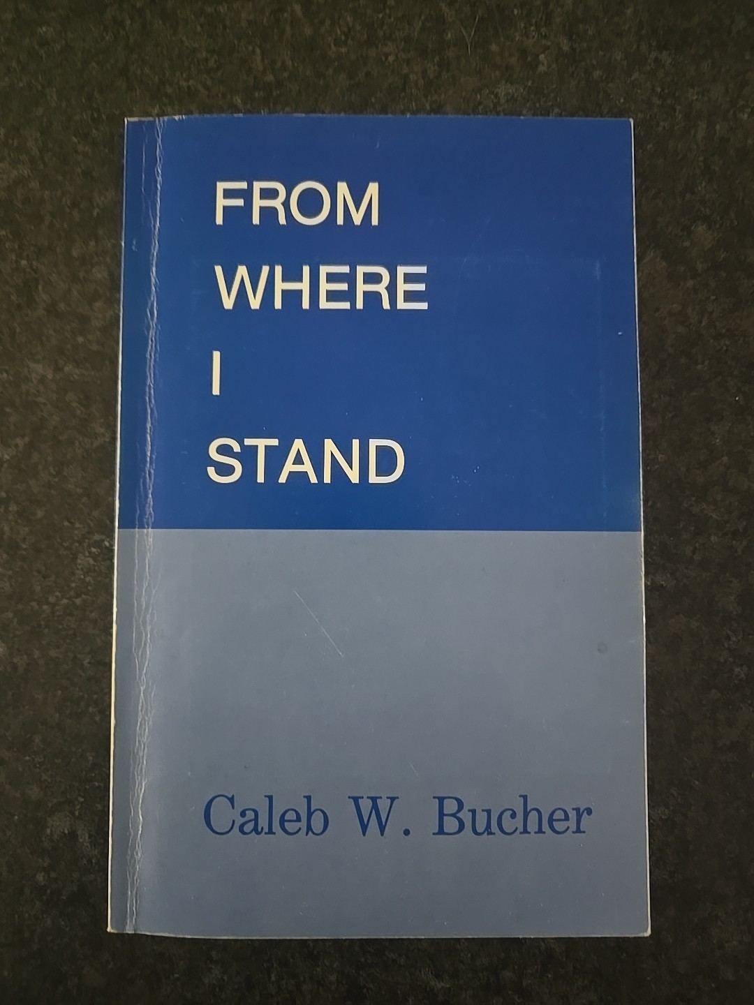 From Where I Stand, By Caleb W. Bucher, 1988 SIGNED Gd+ Paperback