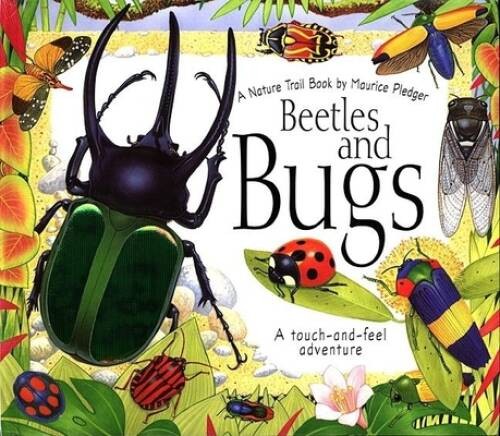 Beetles and Bugs: A Maurice Pledger Nature Trail Book – Hardcover – ACCEPTABLE