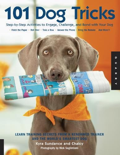 Kyra Sundance 101 Dog Tricks (Paperback) Dog Tricks and Training