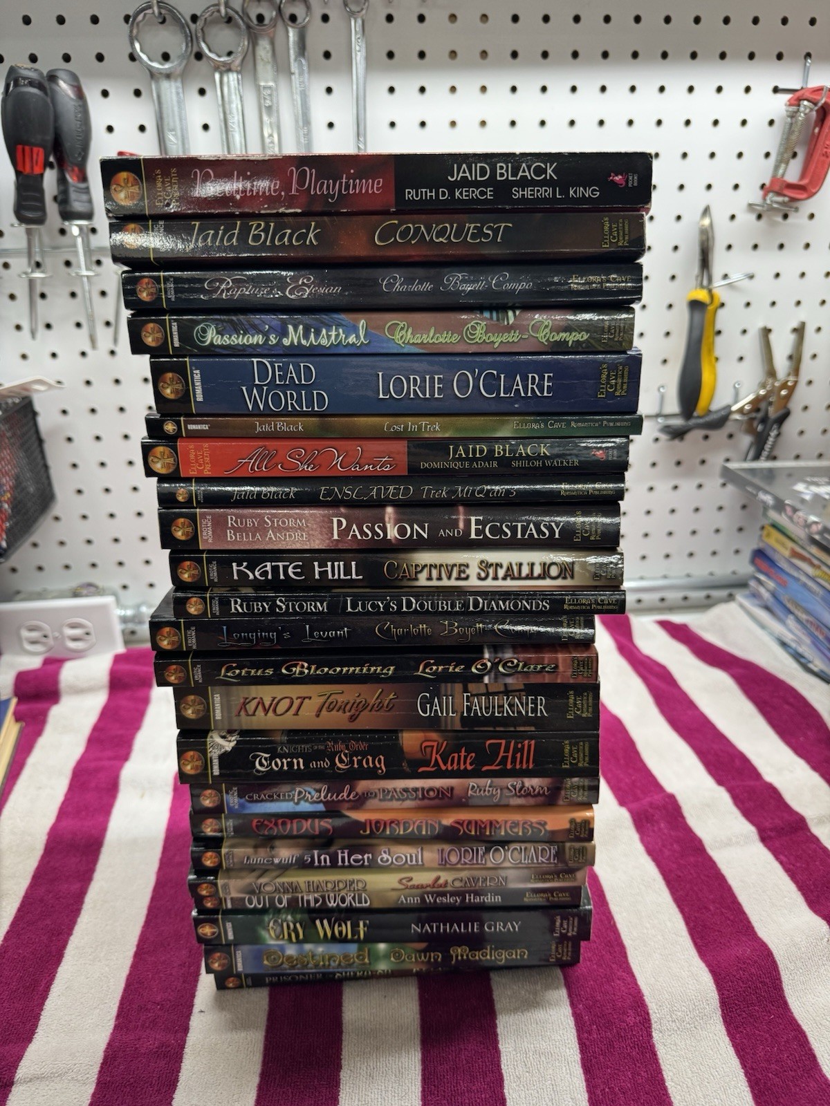B5 Lot of 23 Ellora’s Cave Erotic Romance Books Insatiable Demonic Paperback