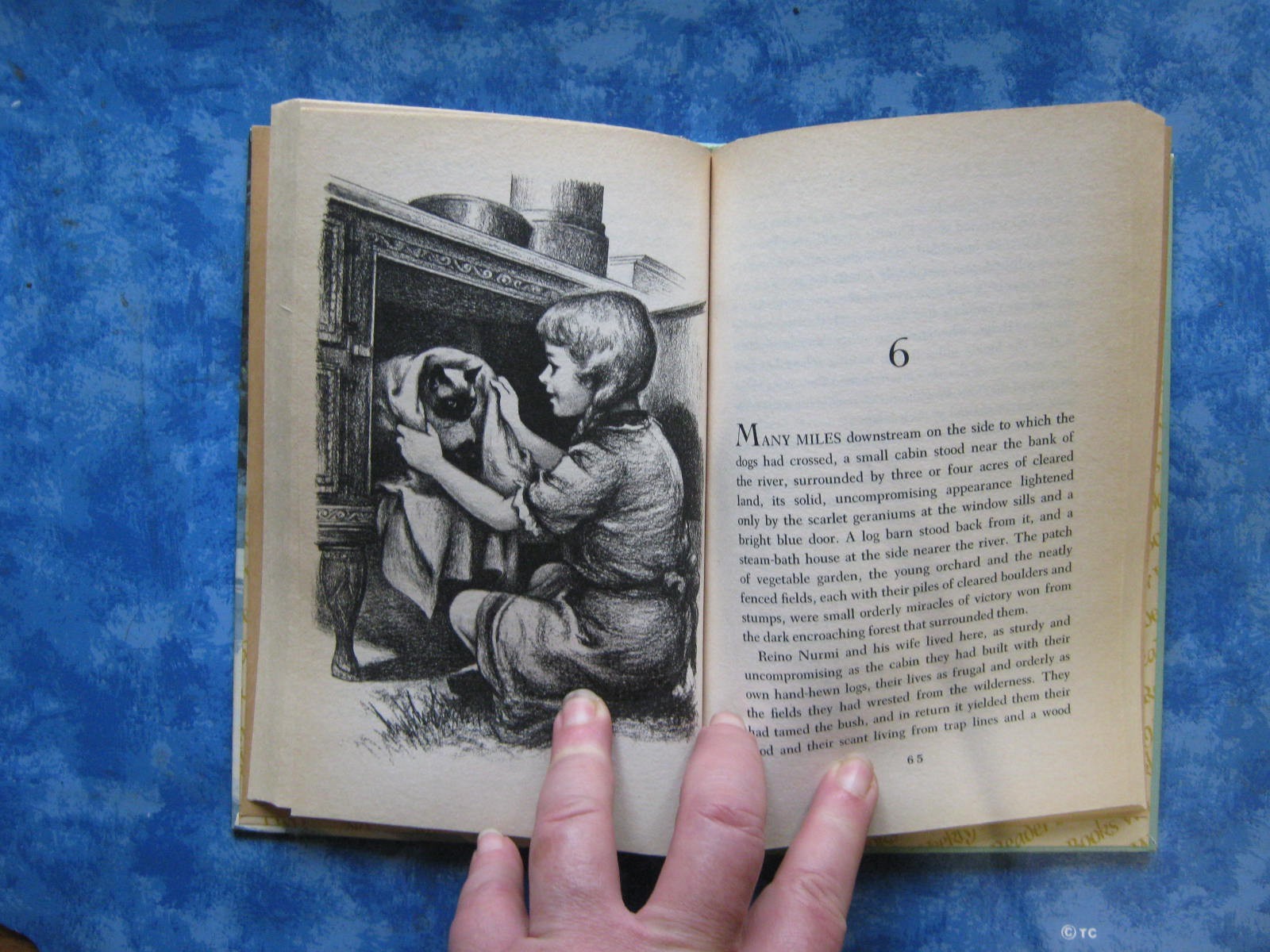 Vtg THE INCREDIBLE JOURNEY Weekly Reader Book SHEILA BURNFORD HC 1961 Illust VGC