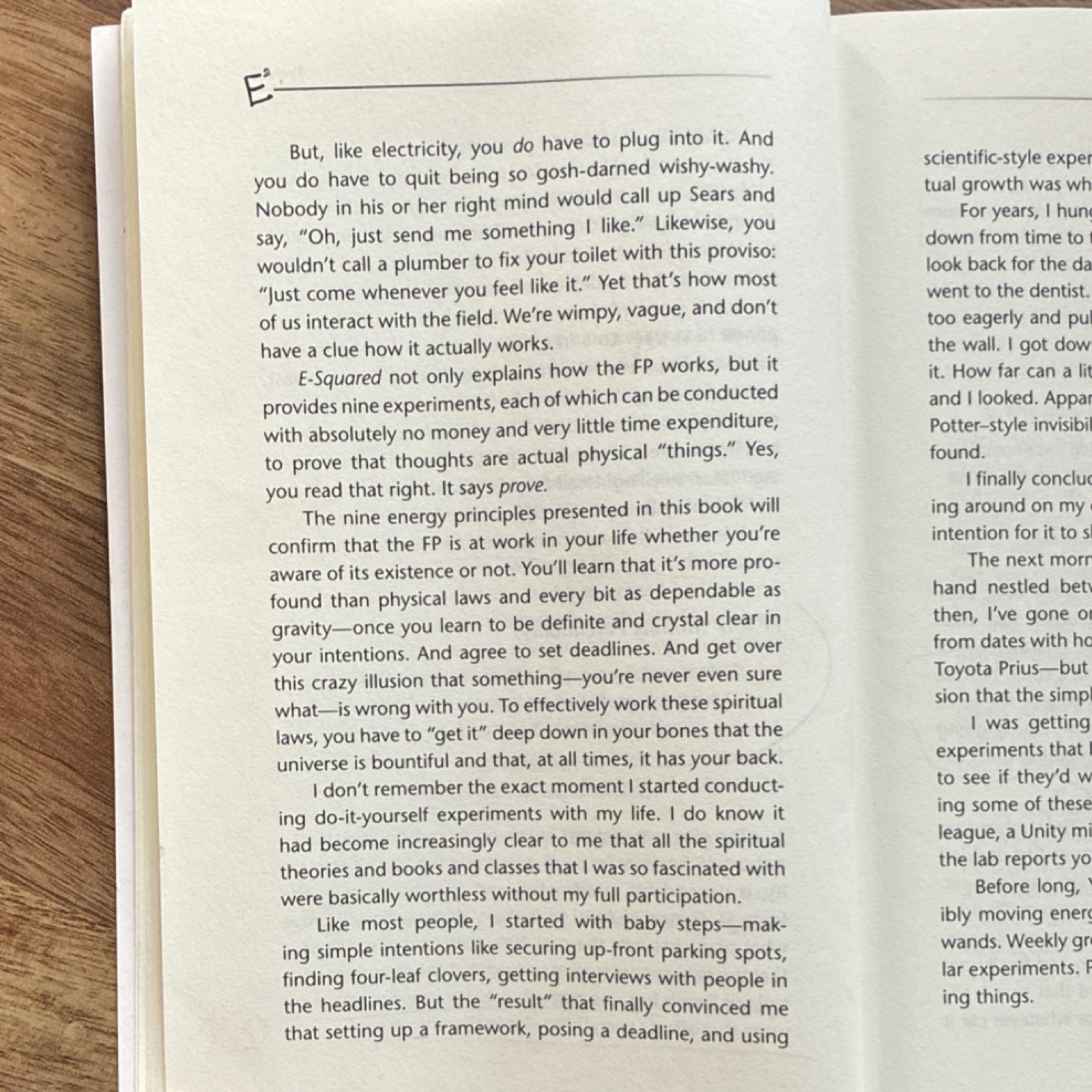 E-Squared by Pam Grout, Uk-Trade Paper, 2013, Hay House, Motivational, Self-Help