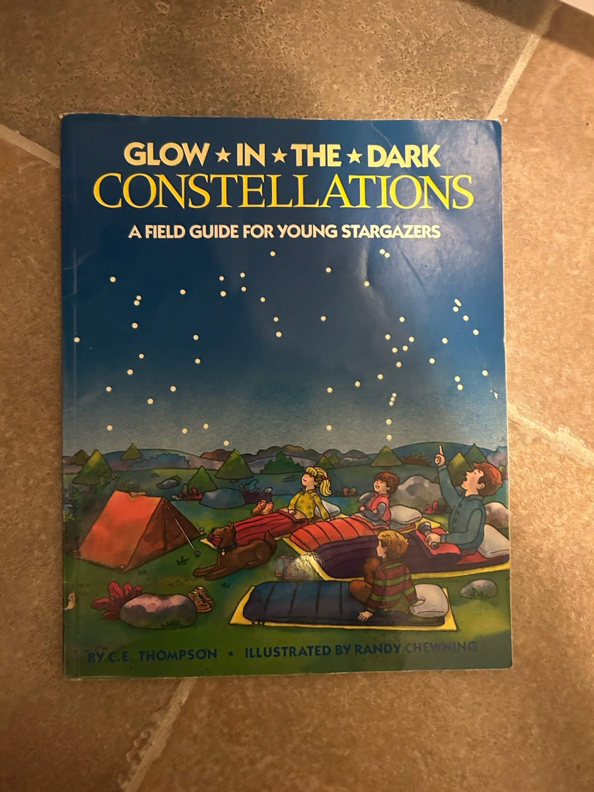Glow-In-The-Dark Constellations by Thompson, C. E.