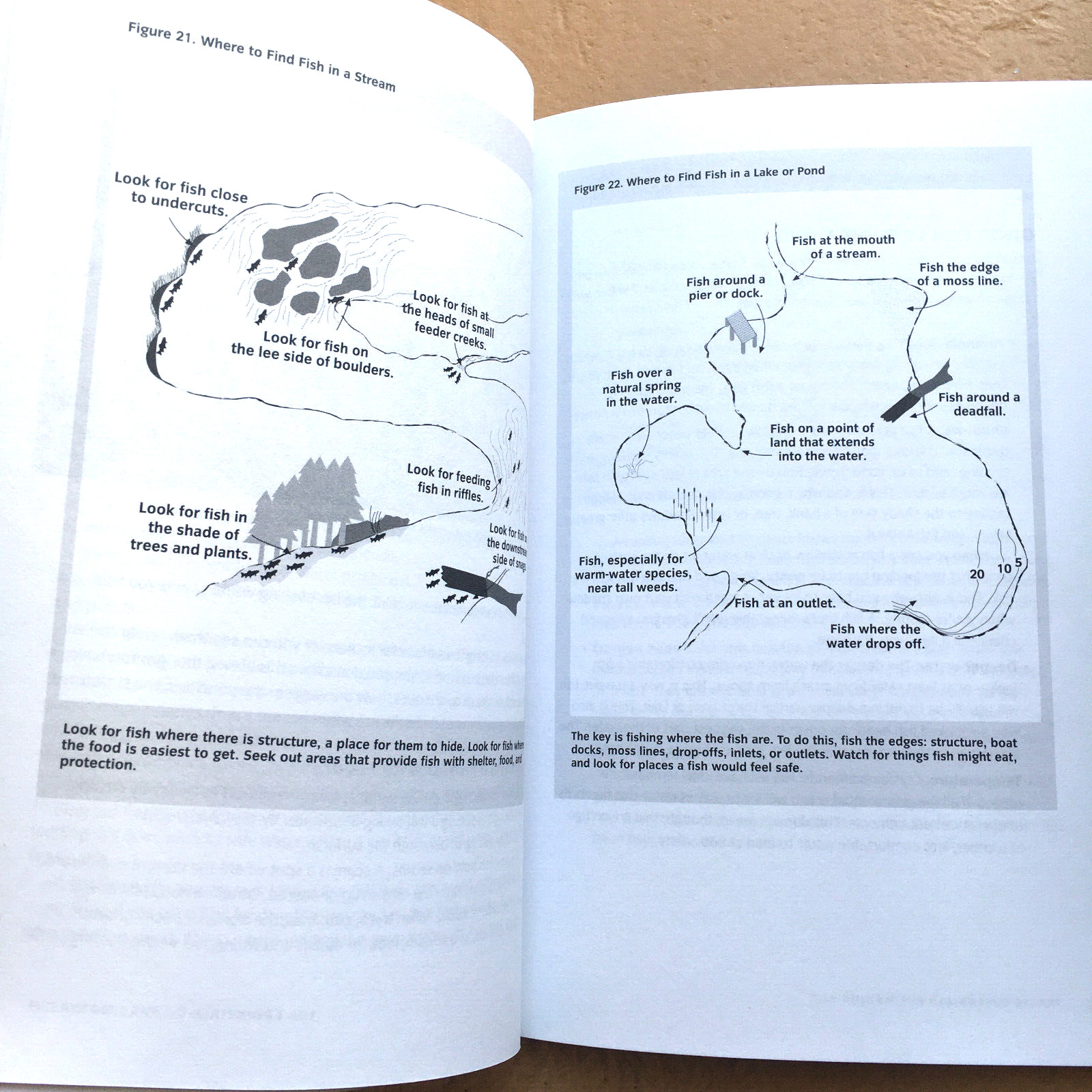2-Book Set: Arizona Trout Streams & Their Hatches + Basic Essentials Fly Fishing