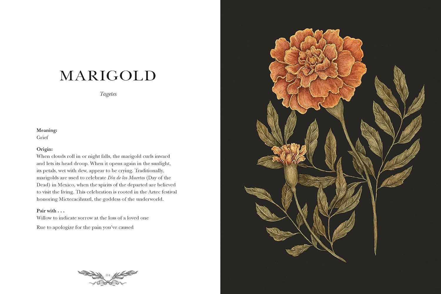 Floriography: An Illustrated Guide to the Victorian Language of Flowers (Volume