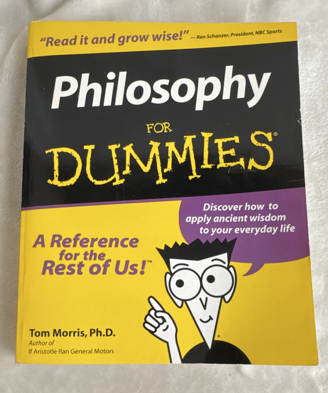For Dummies Philosophy for Dummies Tom Morris Trade Paperback 1999