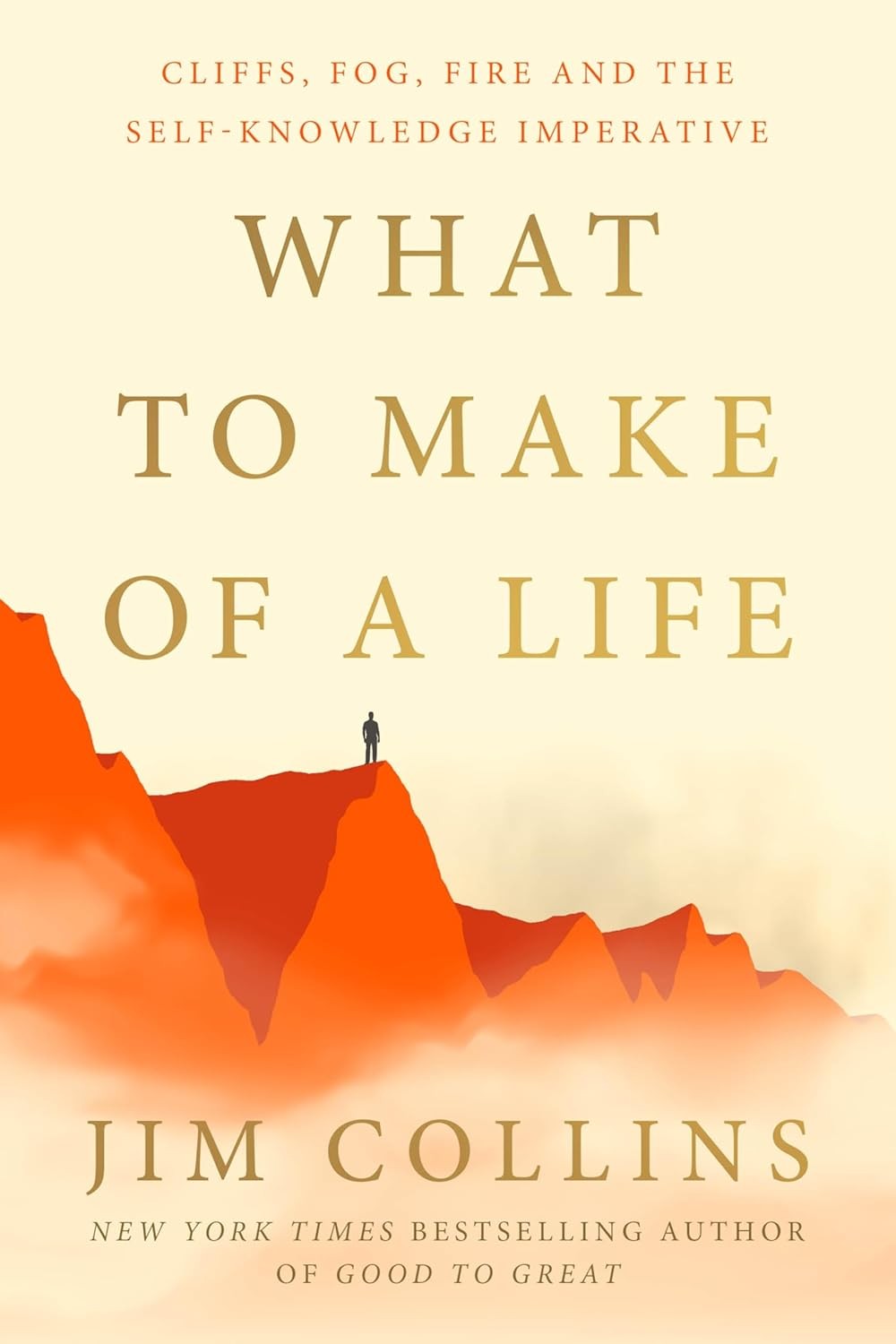 What to Make of a Life: Cliffs, Fog, Fire and the Self-Knowledge Imper Hardcover