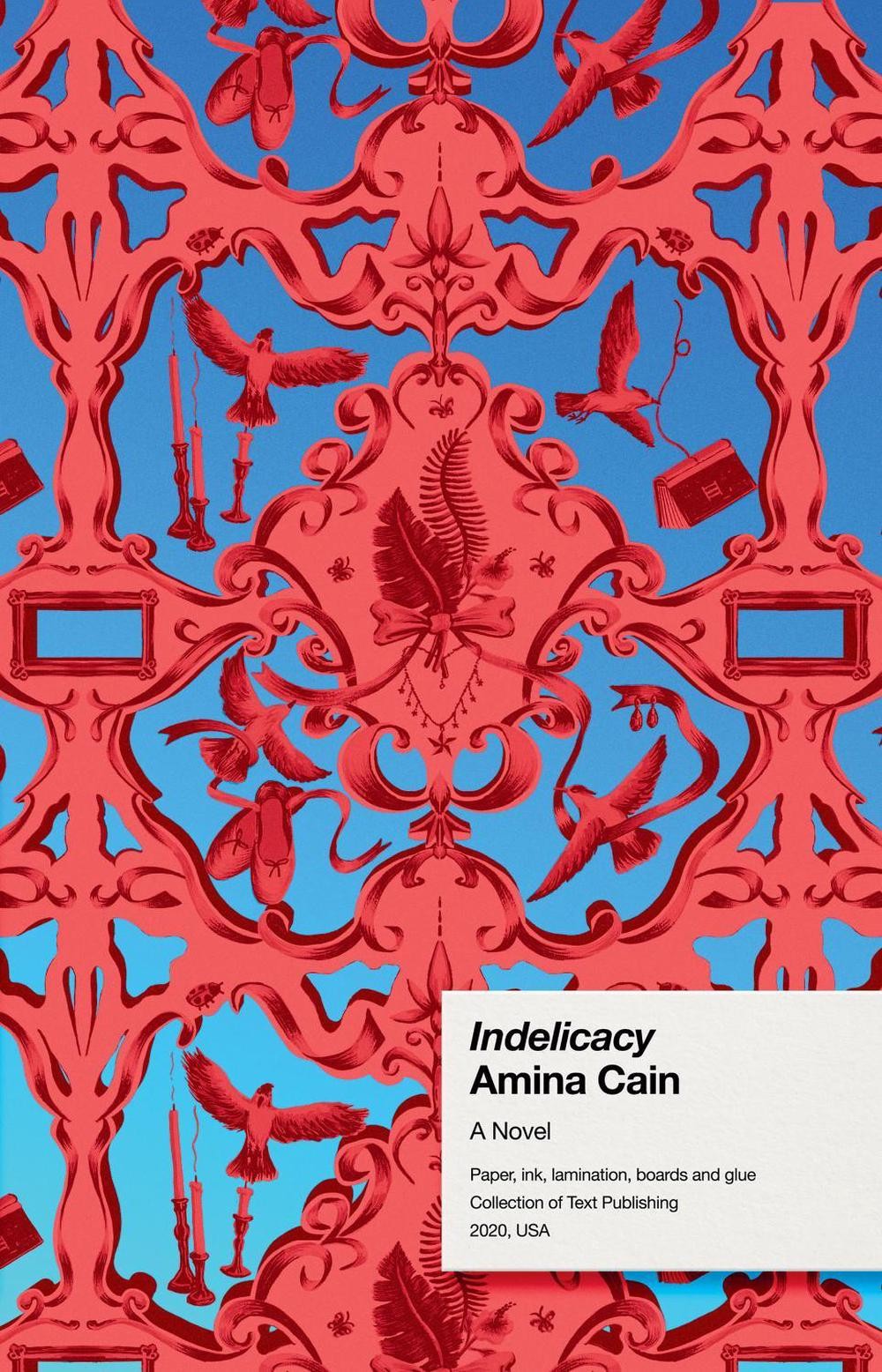 Indelicacy: A Novel by Amina Cain (English) Paperback Book