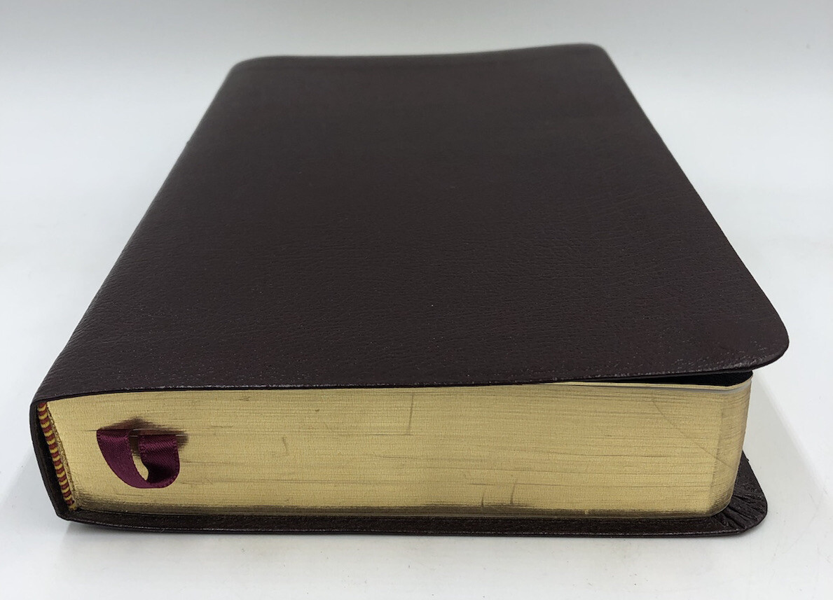 Sonrise Daily Devotional Bible~Thomas Nelson 2004 Bonded Leather ~ Burgundy