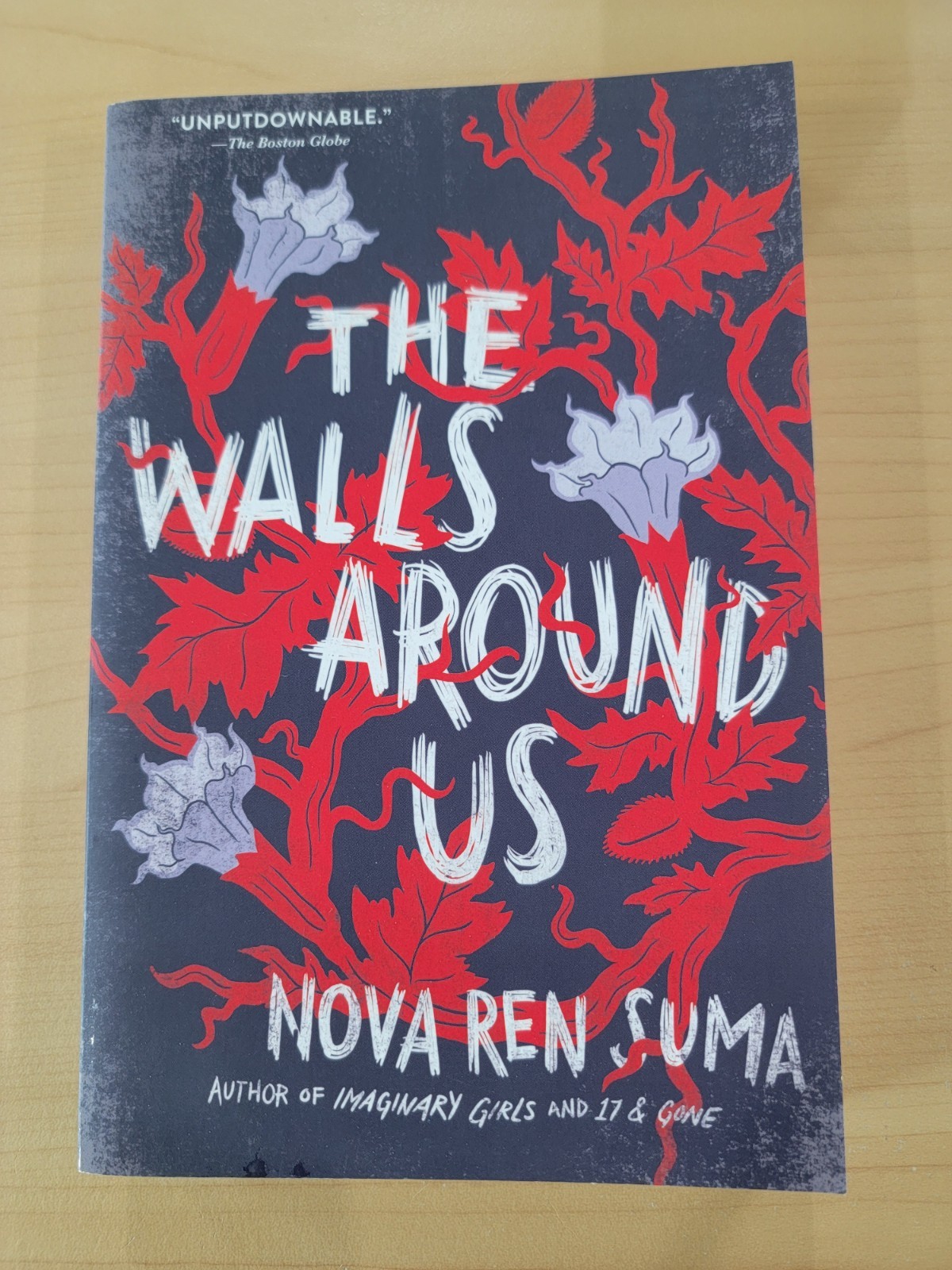 The Walls Around Us by Nova Ren Suma Paperback Algonquin Young Readers Paranorm…