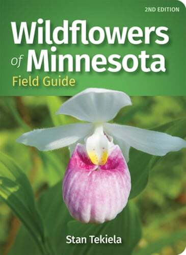 Wildflowers of Minnesota Field Guide by Stan Tekiela: Used