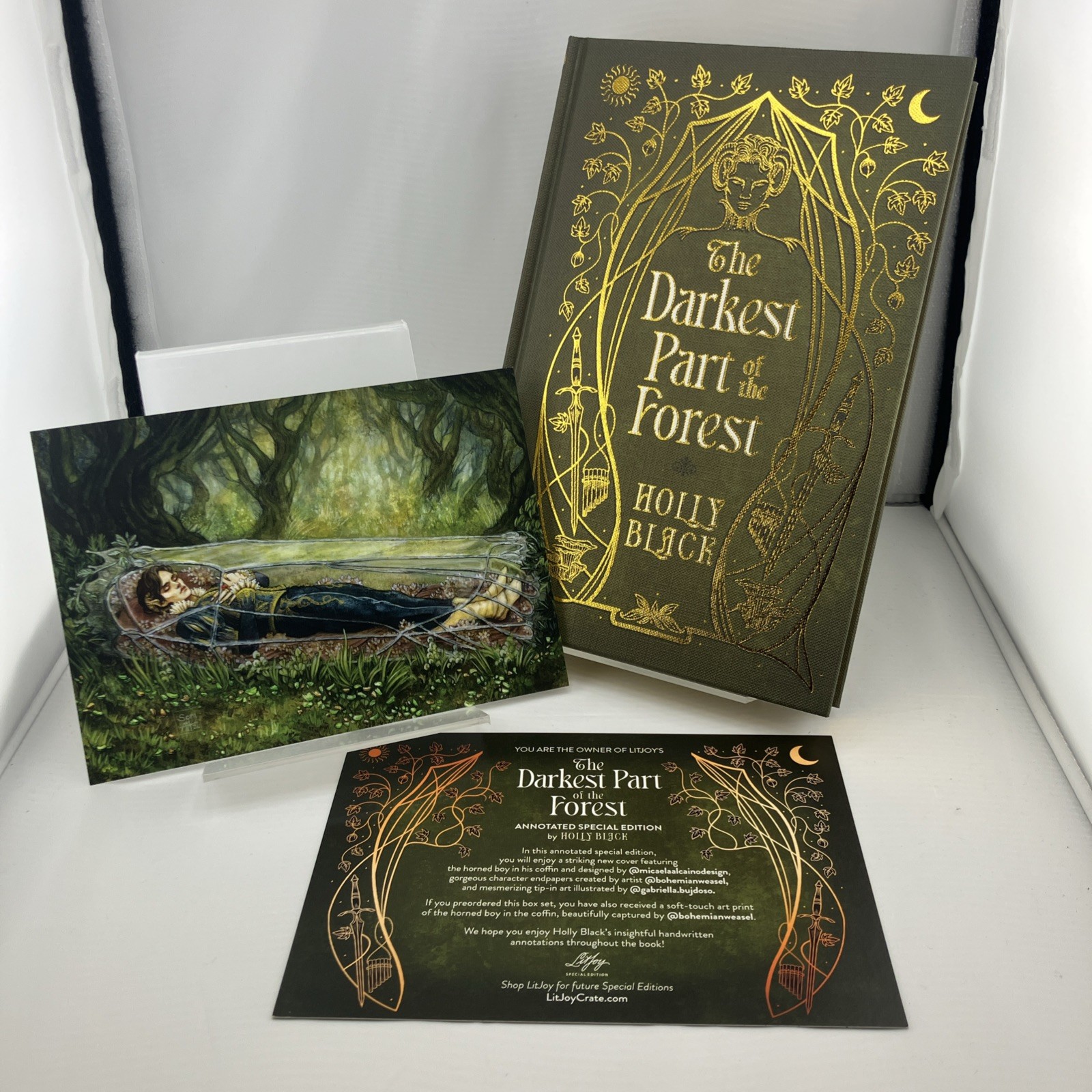 Signed LitJoy Special Edition The Darkest Part of the Forest by Holly Black