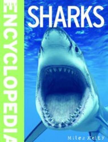 Sharks Mini Encyclopedia – Flexibound By Miles Kelly – GOOD