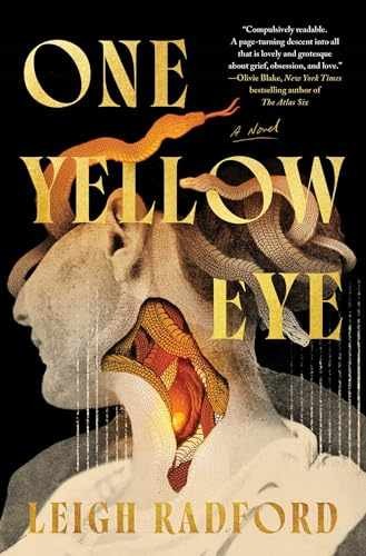 One Yellow Eye: A Novel – Hardcover, by Radford Leigh – New q