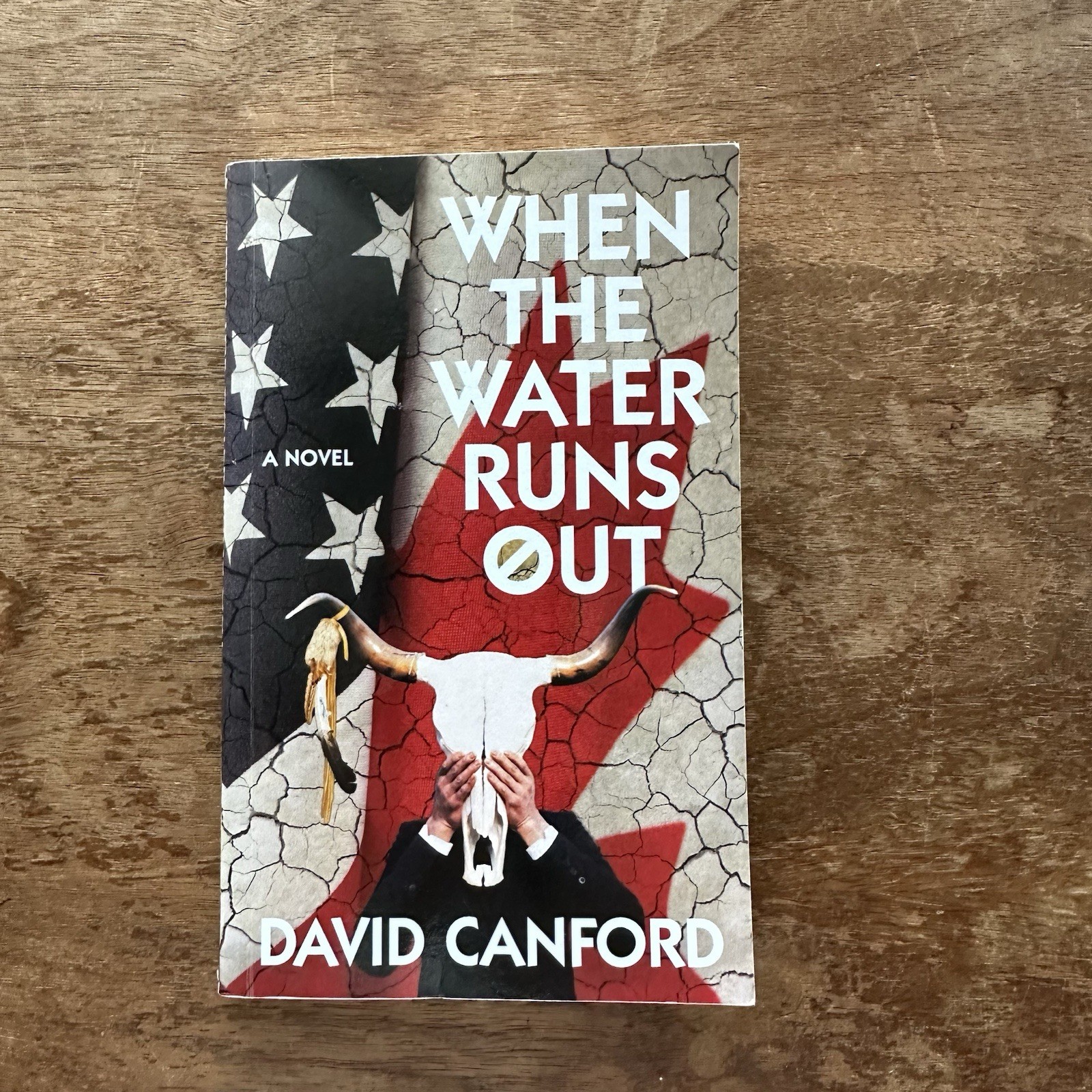 WHEN THE WATER RUNS OUT By David Canford 310 Pages Copyright 2015