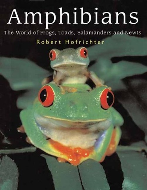 Amphibians : The World of Frogs, Toads, Salamanders and Newts Har