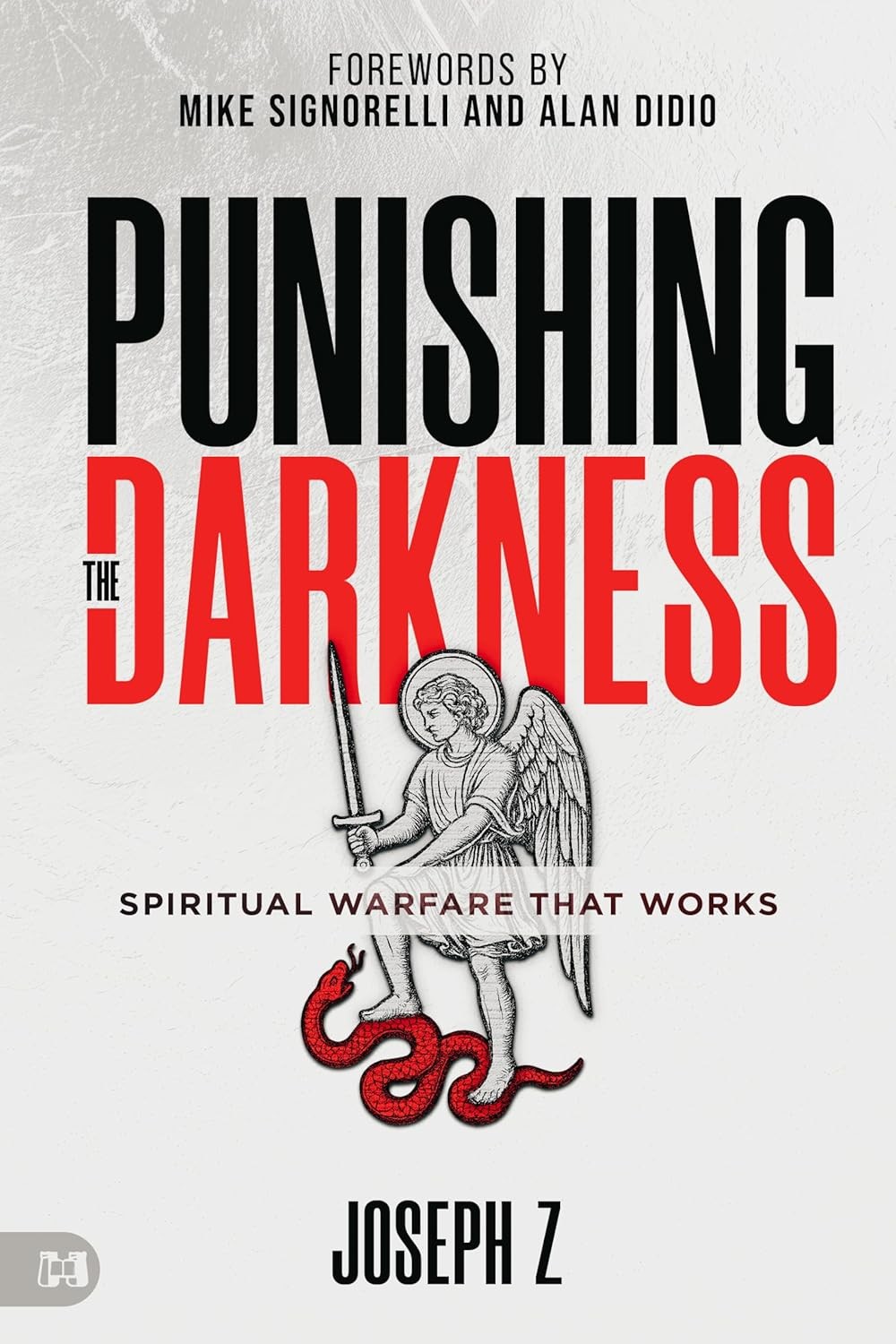 Punishing the Darkness: Spiritual Warfare That Works Paperback by Joseph Z