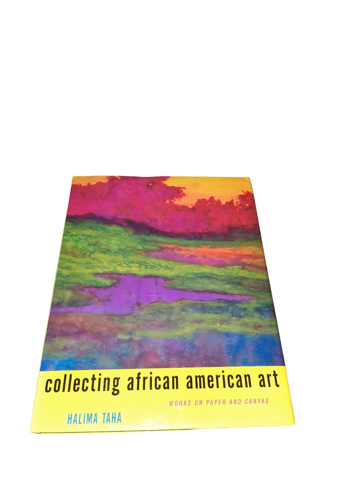 Collecting African American Art: Works on Paper and Canvas – Halima Taha, Author