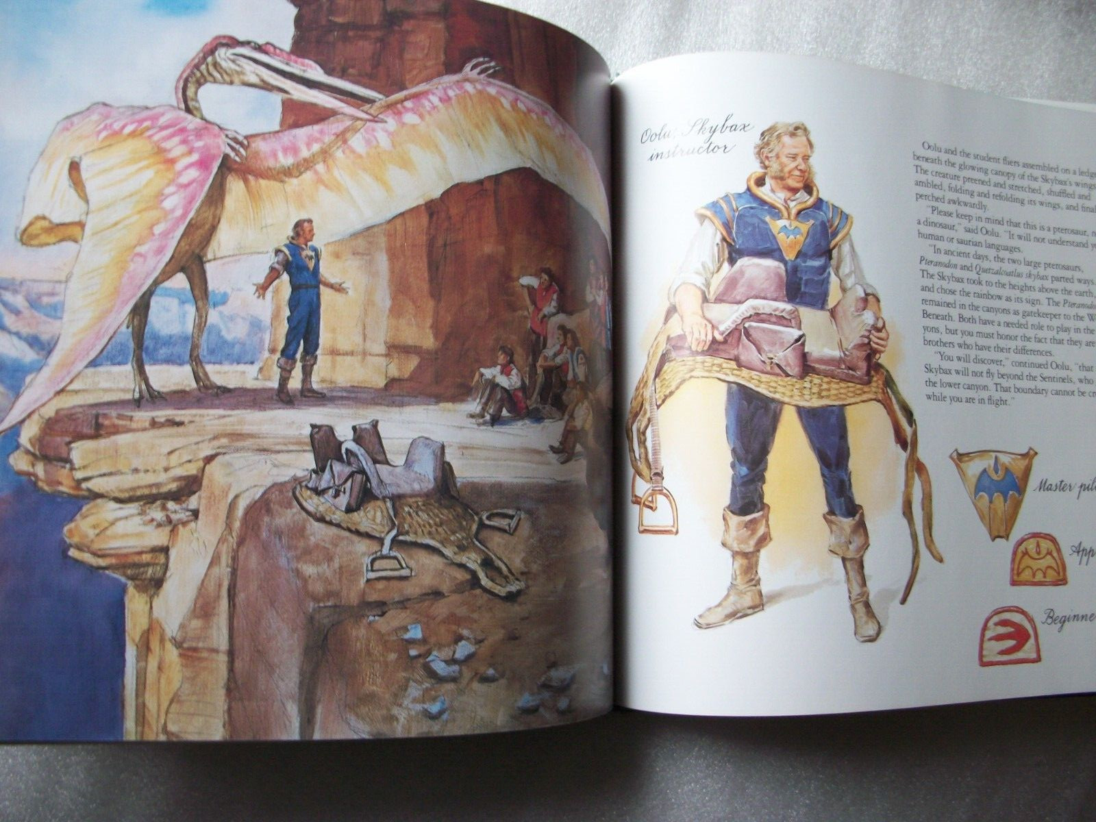 Dinotopia – A Land Apart from Time by James Gurney – Harper Collins – Hardcover