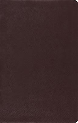 ESV Large Print Thinline Reference Bible (Brown), ESV Bibles,