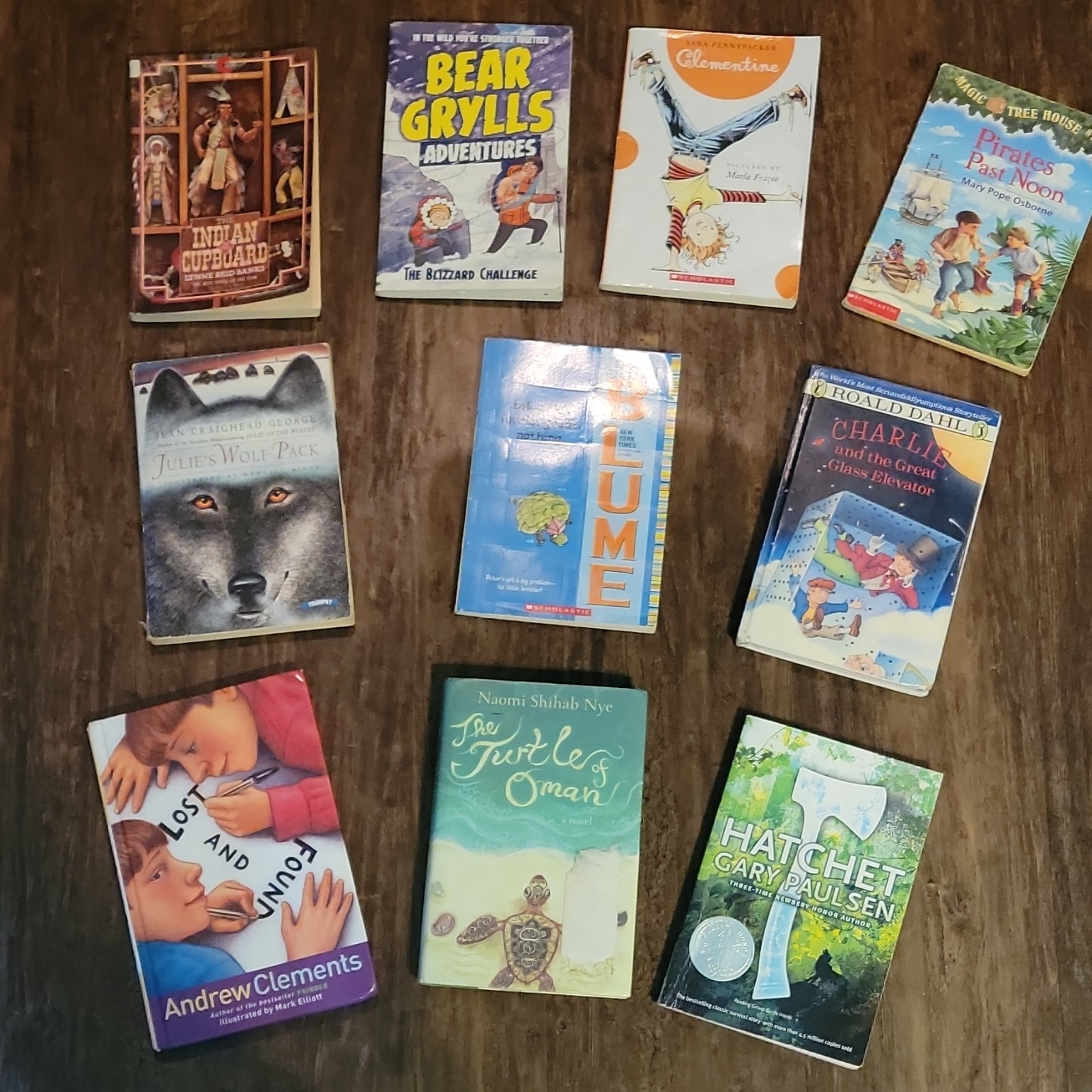 Childrens Chapter Book Lot of 10 Paperback Hardcover Middle Grade Novels Fiction