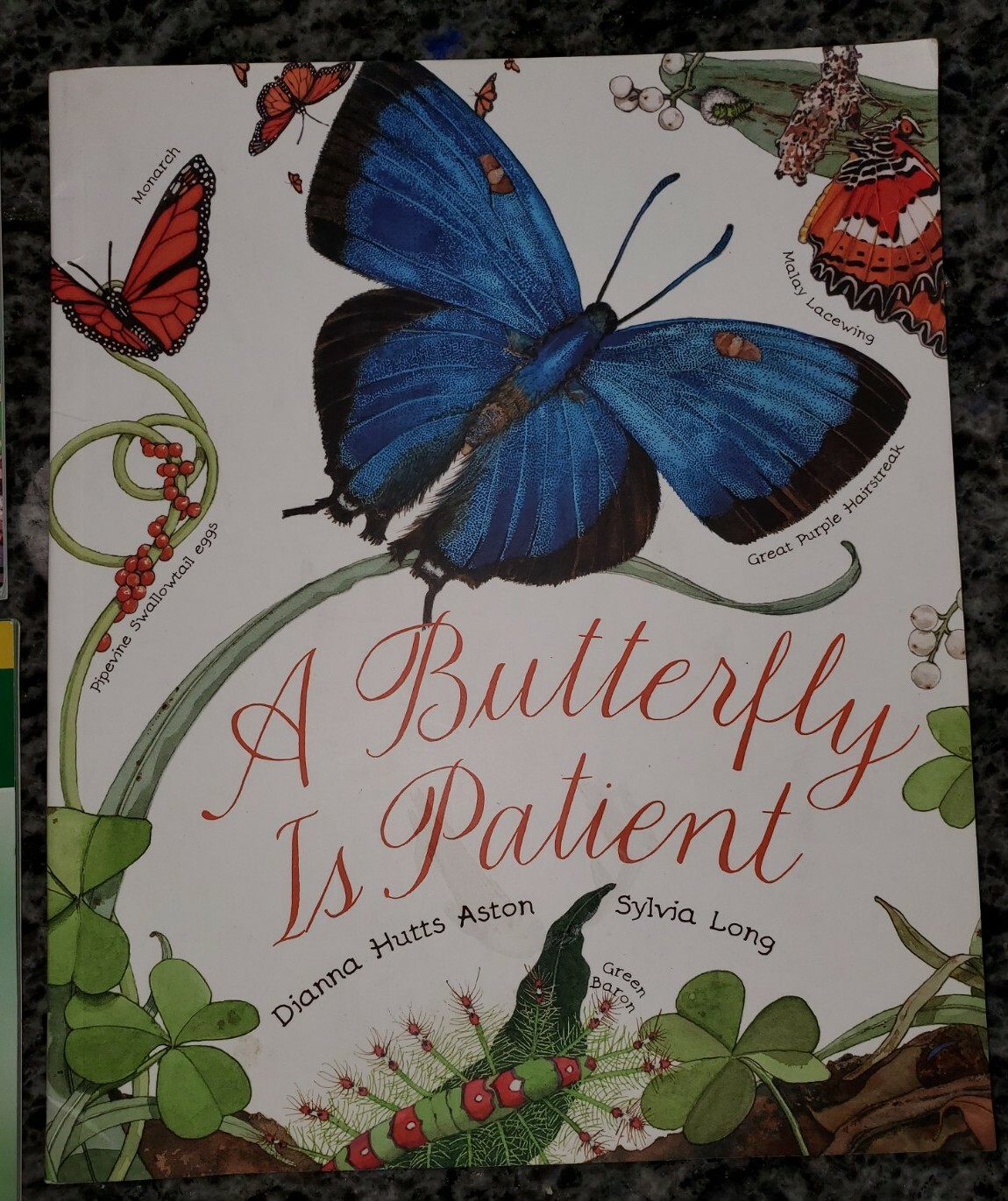 Lot of 3 BUTTERFLY Books: Alphabet, Magic School Bus, A Butterfly is Patient