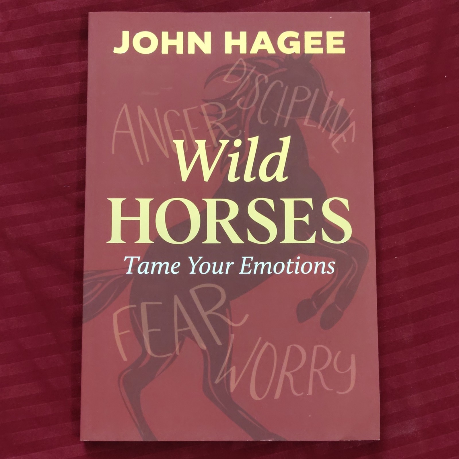 John Hagee Wild Horses: Tame Your Emotions Paperback Devotional Christian Life