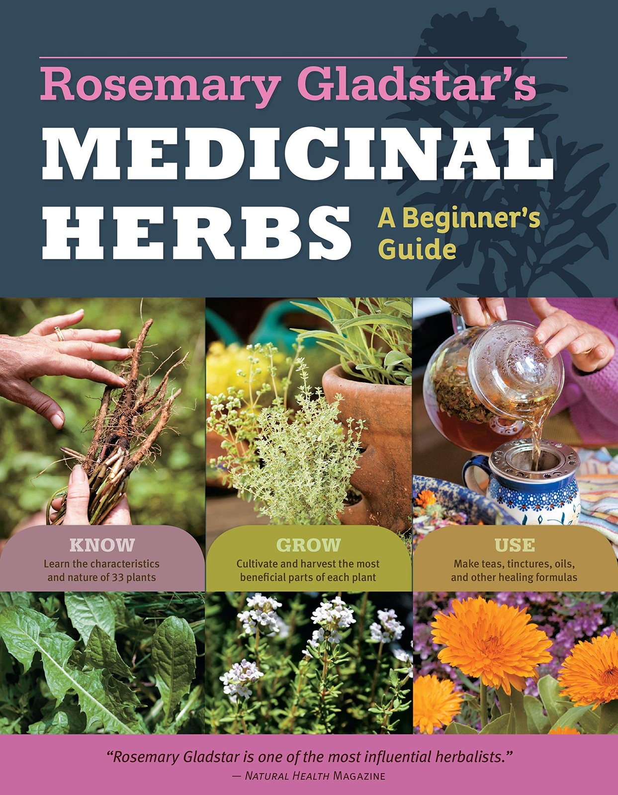 Herbal Medicine Guide for Beginners 33 Healing Herbs Natural Remedies and Uses