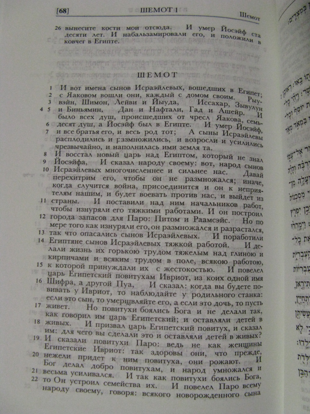 Torah With Russian Translation Breuer Yosifon тора мосад арав кук пять книг торы